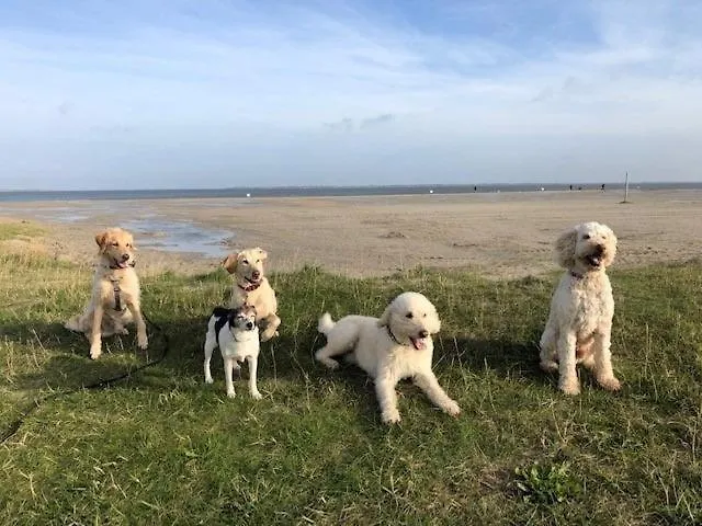 Pfoetchenparadies Ii * Geestland