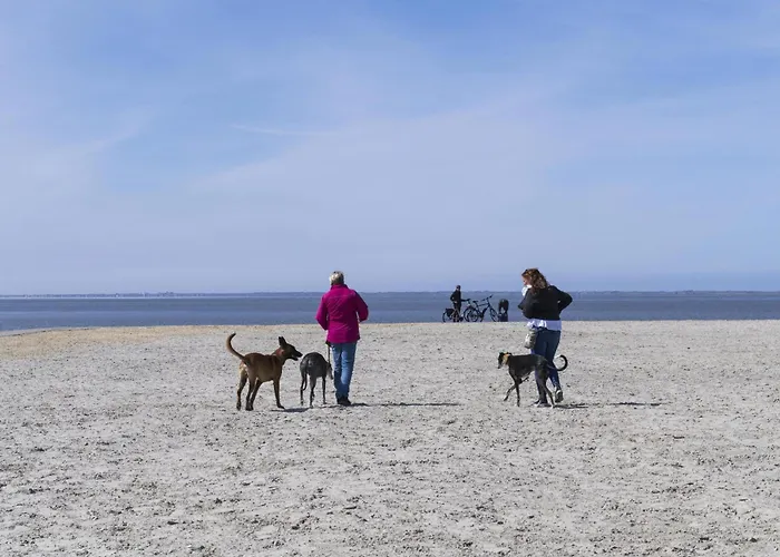 Pfoetchenparadies Ii Geestland